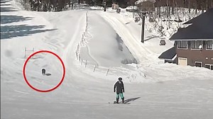 WATCH: Security Cam Footage of That Wild Boar Attack @ Japanese Resort