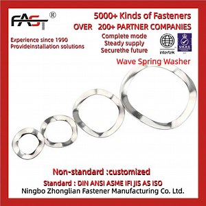 [Hot Item] Durable Wave Spring Washer, Industrial Hardware Component
