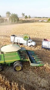 Agricultura mexicana 👑🇲🇽 | AgroGsv