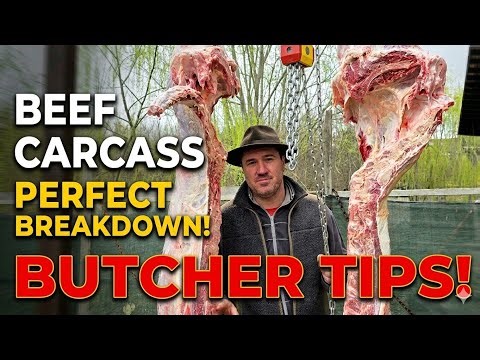 Full Beef Carcass Breakdown | Professional Butchery Guide