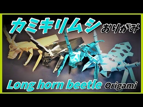 カミキリムシおりがみ(Cerambycidae/longhorn beetle Origami)长角甲虫折纸(하늘소 종이 접기)Origami kumbang tanduk panjang