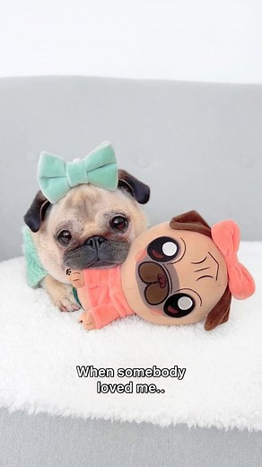 Loulou the Pug on Instagram: "When your Loulou plushie has been your best friend through the good and the bad times 🥹💕 This is the FINAL week you can order your Loulou the Pug Plush! After this it will NEVER return, so make sure to grab yours in time! Link in bio 🧸🎀 #WeeklyFluff #pug #cuteanimals #pugsofinstagram #cutedogsofinstagram #dogsofinstagram #speakpug #barked #thebarkedclub #shotoniphone #pugloversclub #9gag #thetomcoteshow #mydogiscutest #doggosbeingdoggos #doglove"