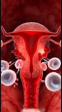 Visualizing the menstrual cycle from start to finish #PeriodExplained #Anatomy #Science