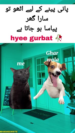 Relatable Memes to Brighten Your Day