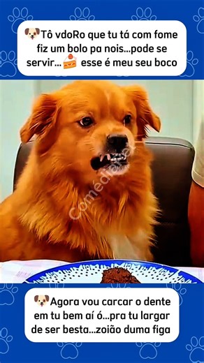 TA PASSANDO FOME? #shorts #viralshorts #memes #pets