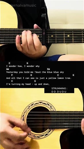 Lemon - Tree - Fool's Garden | Easy Guitar Tutorial For Beginners #guitarlesson #shorts