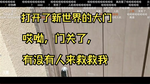 【Gemini沙特之旅】被锁在门外的mini，被好心的爱教救了。mini套路cat未果