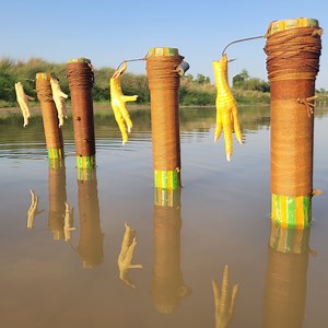 240K views · 3.8K reactions | New fish trap discovery best fishing technique Boy catching Big fish with chicken leg. #fish_trap | Discovery Site | Facebook