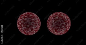 4K cancer cell dividing cells multiplying, Cell Mitosis, Cellular division, Oncology Research Concept 3D rendering