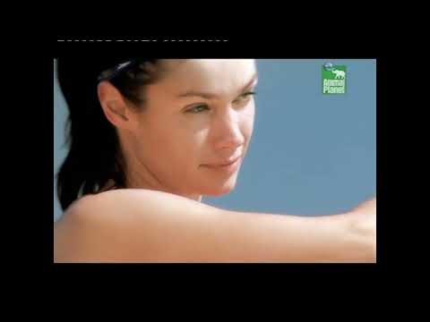 animal planet adverts pdtv