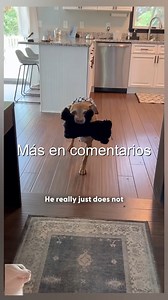 👉FULL VIDEO HERE: https://filmebdn.vansonnguyen.com/20872/24/ W2301001 Gentle help brings strong hope (Part 1) | Refugio de Esperanza