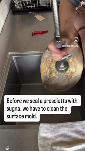 Cleaning mold off of a 1 year old prosciutto.