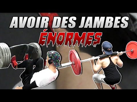 MUSCULATION : PROGRAMME DE JAMBES PRISE DE MASSE (Cuisses et Mollets)