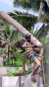 999K views · 735 reactions | 8610339350 | Tree Cutter Suyambu | Facebook