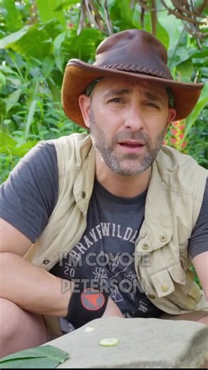 There is a reason why it's called dumb cane 😬 #plants #dumbcane #sting #coyotepeterson | Coyote Peterson