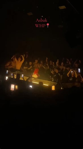 Exploring the Warehouse Project Rave Experience