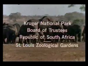 Mutual of Omaha's Wild Kingdom