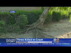 3 Siblings Killed, Mother Injured While Walking In Bloomington