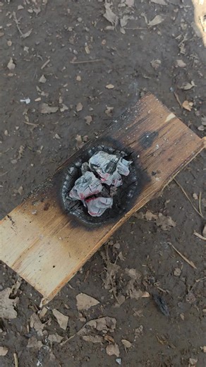 Today we are making a burn bowl 🥣 using hot coals to burn a hole if you don't have any tools #bushcraft #survival