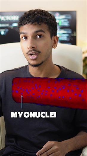 Working out doesn’t just build muscle. It also builds myonuclei. When you train hard, your muscle fibers gain extra myonuclei which help control muscle growth. The crazy part is that even if you stop training and lose size, those myonuclei don’t disappear easily. That’s why muscle comes back much faster when you return to the gym. It’s not magic or motivation, it’s muscle memory at a cellular level. So if you’ve trained before, you’re never truly starting from zero. #fitness #gym #maldives #gymt