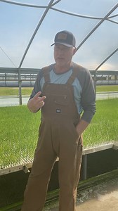 Update from Hoss Tools on Pre-Order Onion Plants | Hoss