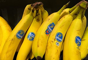Experts link Chiquita’s guilty verdict to a ‘history stained with blood & impunity’