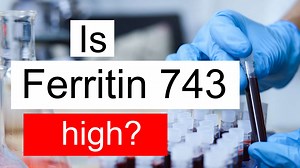 Treatment and symptoms of Ferritin 743 ng/mL | Diet for high Ferritin level 743 ng/mL