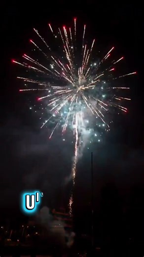 12 Inch 49 Shots #fireworks #pyrotechnica #viral #pyro #beautiful #shorts #4kfireworks #sky #usa