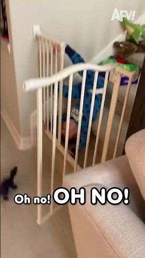 He Deserves an Extra Present! 🎁 #12DaysofLols #funny #holiday #Christmas #fall #fail #afv