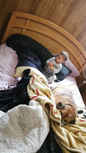 lisacorra (@lisacorra)’s videos with original sound - lisacorra