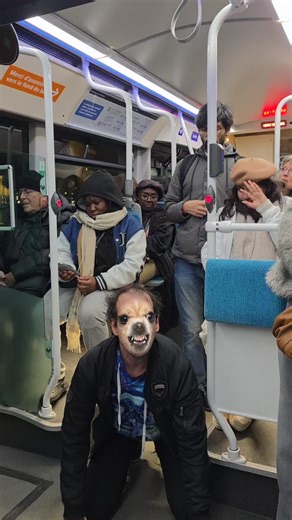 une incroyable histoire d'amitié entre animaux | Animals Being Friends