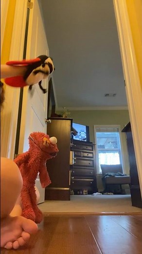 elmo world good day tv and ladybugs interview