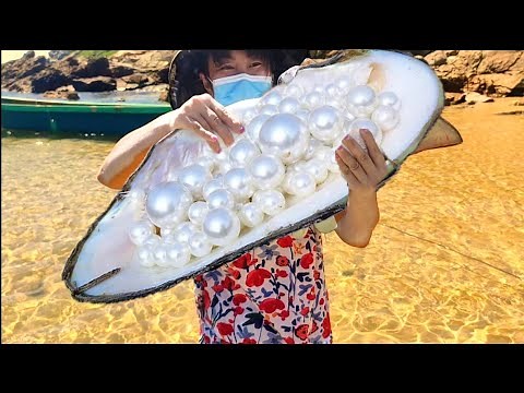 Perfect! Catch giant white pearl oysters and find the perfect pearl