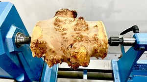 This ugly wart had amazing grain