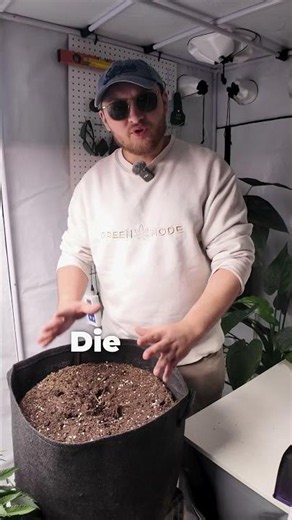 Stop throwing away old soil! THIS is how you can revitalize it🌱🥦 | #greennode #shorts