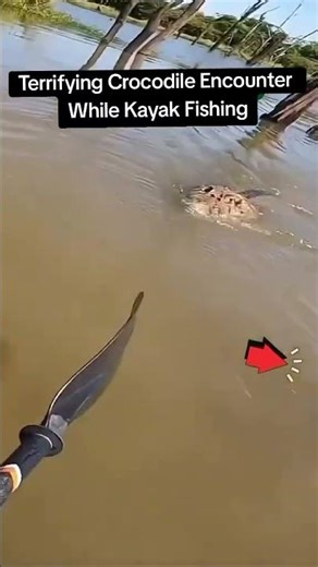 Close Call With a Crocodile 🐊🐊While Fishing on Kayak! #shorts #ytshorts #viral