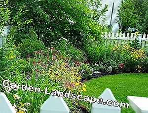 Garden Practice: Weed Fight: 10 Tips - My Beautiful Garden | 2025