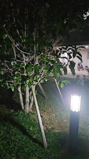 누군가는 나를 좋아해줬으면 좋겠다 #우울전시#추천떠라#추천