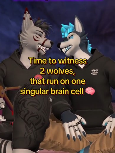 Two Wolves with One Brain Cell: A Gaming Adventure