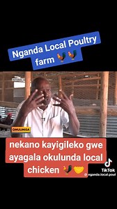 351K views · 9.6K reactions | Tekera Mixed Farm on Reels | Facebook