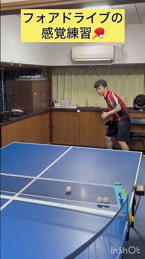 【卓球】フォアドライブの感覚練習🏓 #卓球レッスン #卓球 #卓球教室 #tabletennis