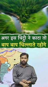 #viralreels #reels #facts #chaina #eating #success #khansir #viral #trending #movies #indian #india #kgs #up #Bihar #mp #sscback #knowledge #stady #Youtube #short #shorts #funny #usa #Amazing #america #chaina #entertainment #engagement #education #follower | Give Ssc