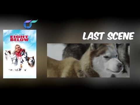 Last Scene - Eight Below