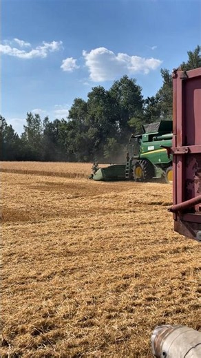 Combine Harvesting Beside Grain Trailer 🚜🌾 #Harvest #Farming #Combine