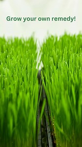 Feeling low on energy or need a natural detox? Look no further than...