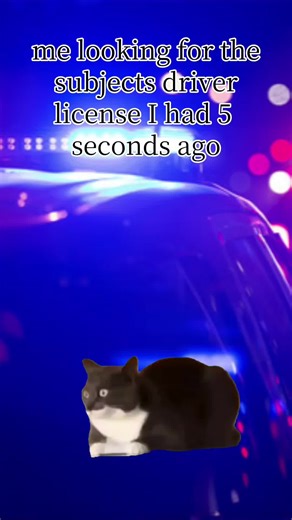 Hilarious Police Moments Captured on Camera