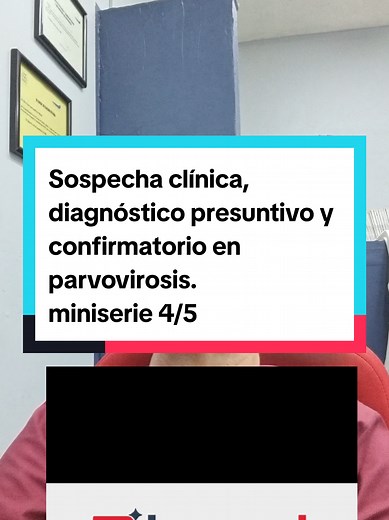 Diagnóstico de Parvovirosis en Perros: Claves y Tratamientos