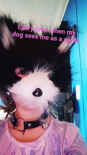 every time my dog sees me as a cat💀😭