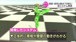 関節や筋肉の動きを可視化する新システム 東京大学が開発