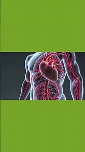 physiology introduction